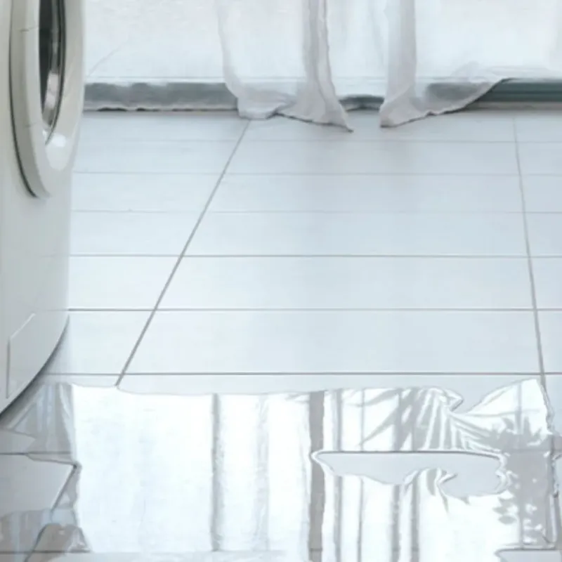 Appliance Leak Cleanup in Willits, CA