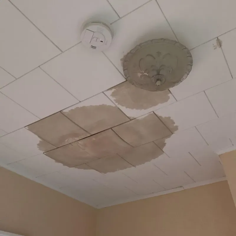 Ceiling Water Damage Repair in Willits, CA