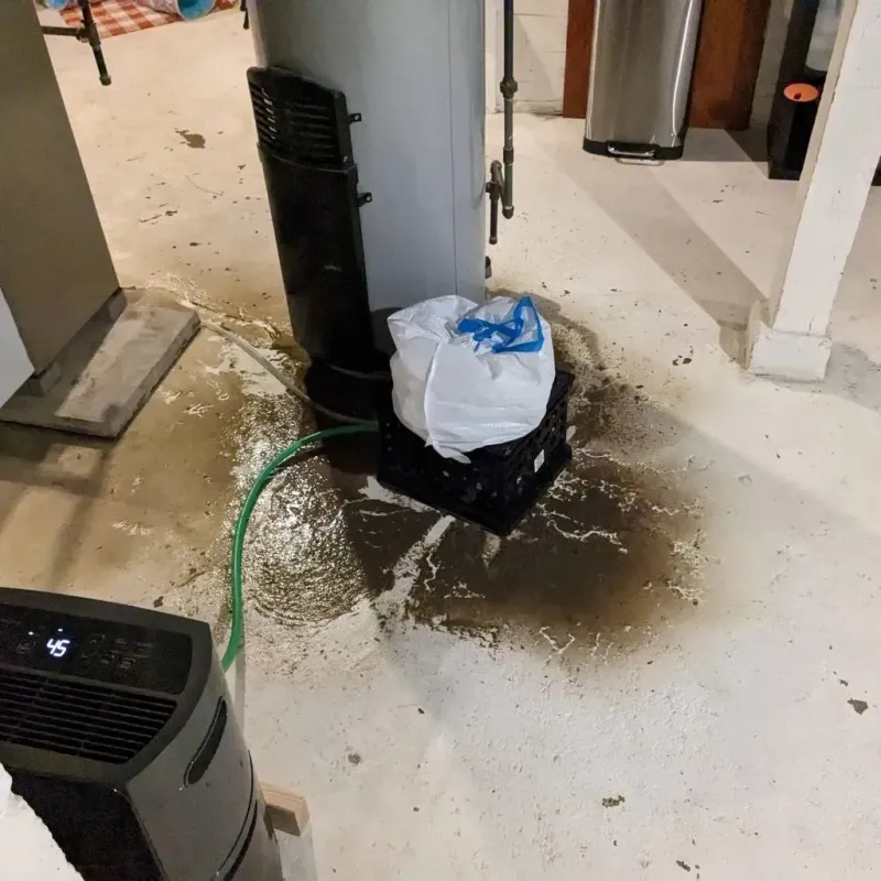 Sewage Backup Cleanup Service in Willits, CA